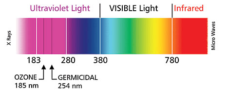 ultraviolet light visible light
